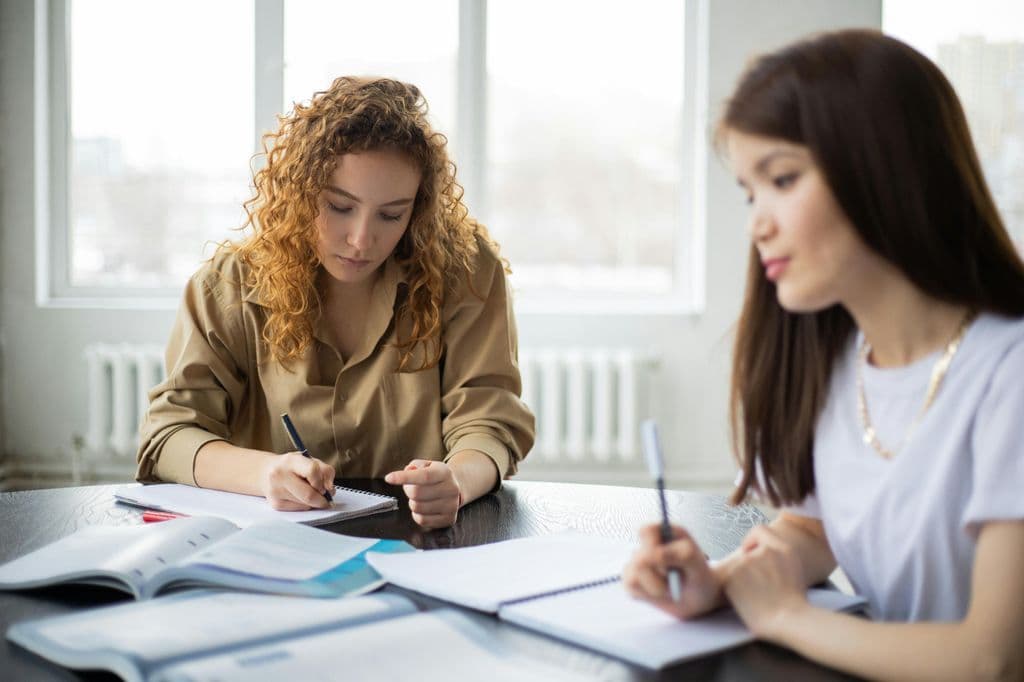 How to Make an Essay Example: Tips and Techniques